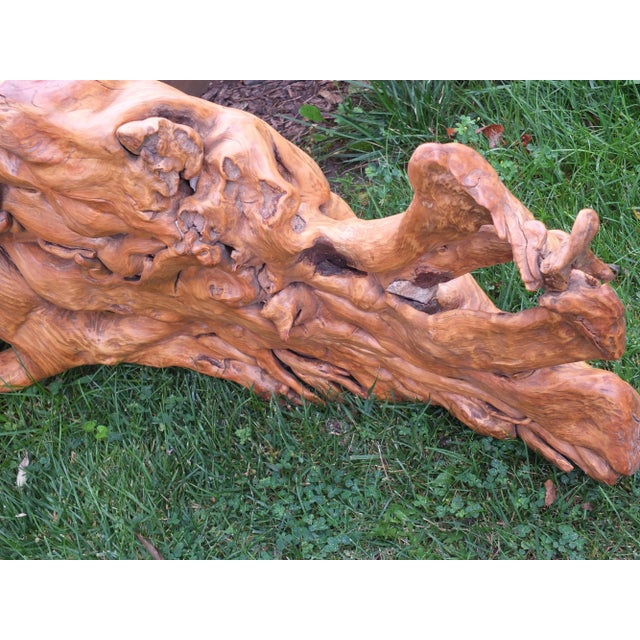 Wood Rustic Bird Like Natural Tree Root Sculpture For Sale - Image 7 of 8