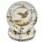 Antique Haviland & Co. Limoges Game Bird Plates - Set of 4 For Sale - Image 10 of 13
