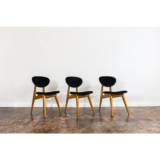 Vintage GFM 22 Chairs by J. Kędziorek, Poland, 1960s, Set of 3 For Sale - Image 14 of 14