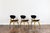 Vintage GFM 22 Chairs by J. Kędziorek, Poland, 1960s, Set of 3 For Sale - Image 14 of 14