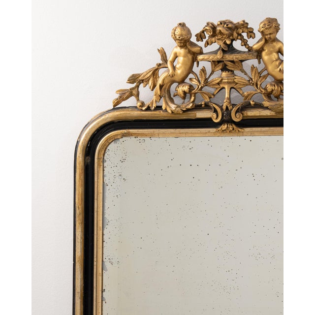 19th Century France Napoleon III Brown Wood Full-length & Floor Mirrors For Sale In Greensboro - Image 6 of 10