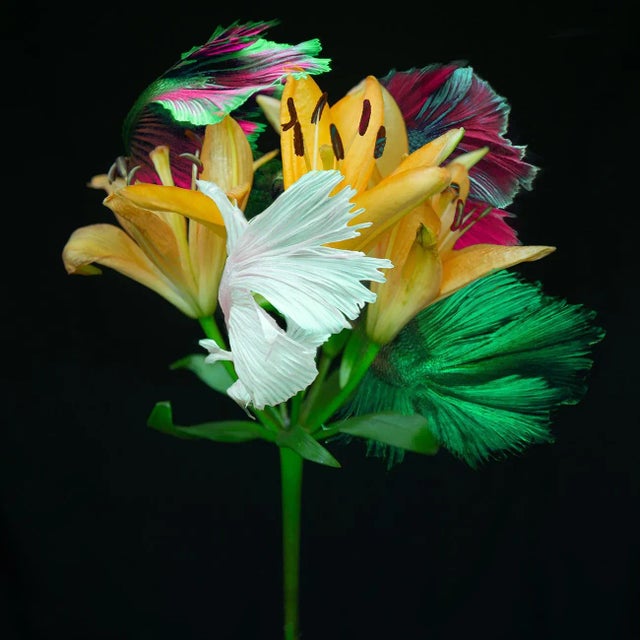 "Kaleidoscope 6" Contemporary Botanical Color Photograph For Sale