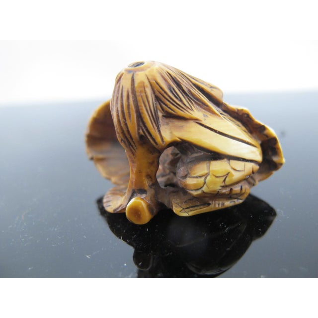 Japanese Japanese Carved Bone Kappa With Lotus Leaf Netsuke Figurine Edo Period For Sale - Image 3 of 9
