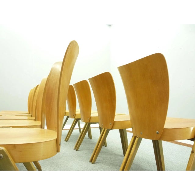 Mid-Century Plywood Dining & Stacking Chairs from Kaderer München, 1950s, Set of 10 For Sale - Image 6 of 18