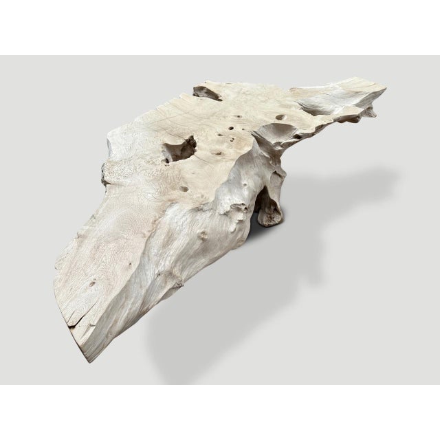 White Andrianna Shamaris Bleached Sculptural Teak Wood Coffee Table For Sale - Image 8 of 18