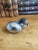 Antique Bronze Bird Inkwell, Cold Painted, Circa 1900 ,Geschutzt For Sale - Image 6 of 14