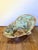 Antique 19th Century Victorian English Sitz Hip Bath For Sale - Image 4 of 10