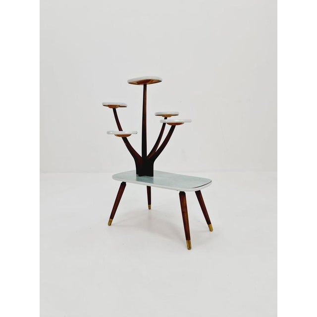 Small German Plant Stand,Vintage Mid-Century Minimalist Indoor flower table, 1960s It inspires with its extraordinary...