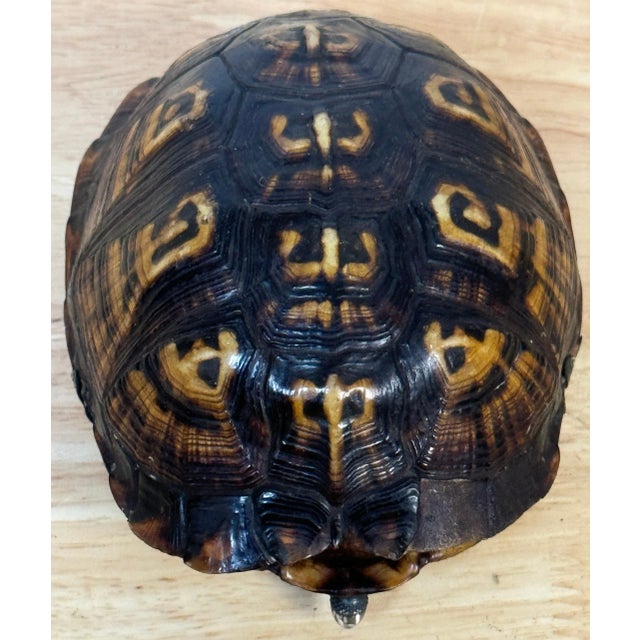 19th Century Continental Tortoise Shell Silver Mounted 2 Compartmented ...