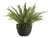 Grand Boston Fern Drop-In 30" For Sale