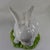 A beautiful A Due Tosin white rabbit sitting on a tuff of green grass. I love the way the green pops and the beautiful...