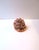 Mid 20th Century Italian Cameo Shell Seashell, Neoclassical Style, Mid-20th Century, Italy For Sale - Image 5 of 8
