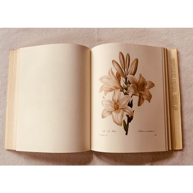 Red Redouté "Beautiful Flowers and Fruits" | Large Format Botanical Book For Sale - Image 8 of 18