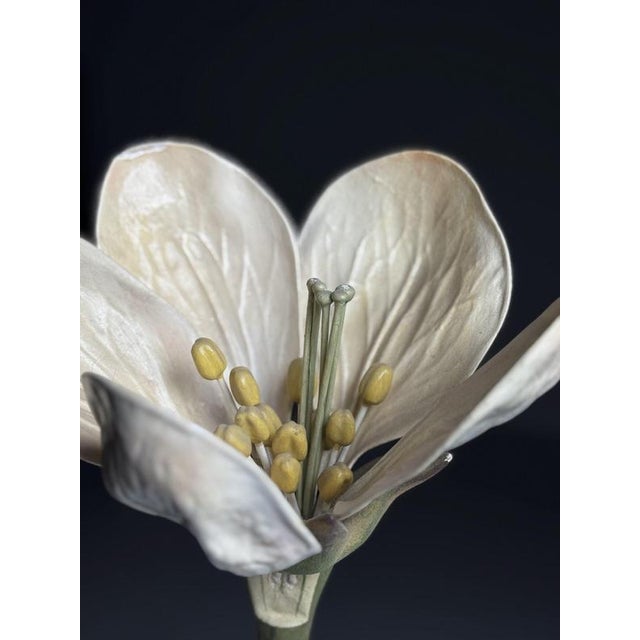 German Botanical Floral Model, 1900 For Sale - Image 17 of 18