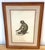 Neoclassical Set of 4 Hand-Colored French Primate Engravings by Jean-Baptiste Audebert For Sale - Image 3 of 18