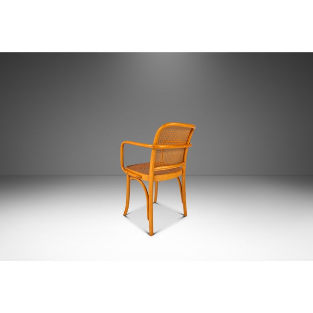 Stendig Scandinavian Modern Bentwood Model 811 "Prague" Dining Armchair by Josef Frank & Josef Hoffmann for Stendig, Poland, C. 1960s For Sale - Image 4 of 18