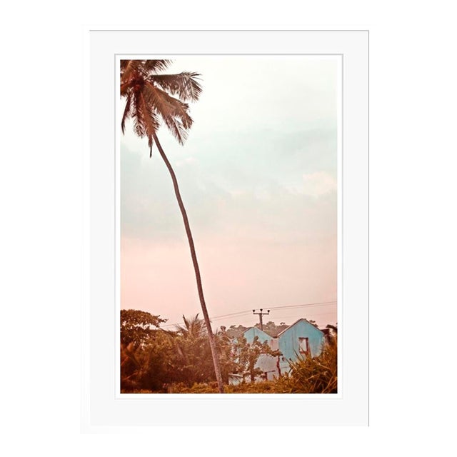 Palm Blue House by Stuart Möller Framed For Sale