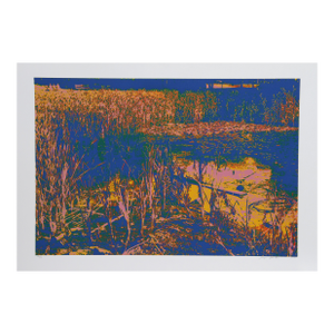 Blue Lagoon, 1980 Signed Screenprint by Max Epstein