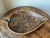 Vintage Palecek Leaf Shaped Wooden Bowl For Sale - Image 11 of 11