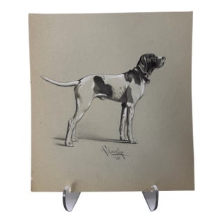 1940s Original Signed Graphite Illustration of Pointer Hunting Dog Portrait, 10.75 × 10 In. For Sale