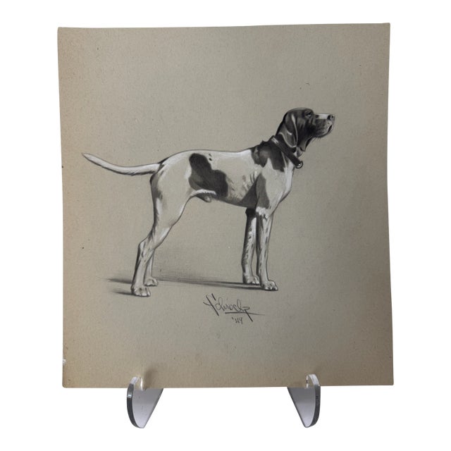 1940s Original Signed Graphite Illustration of Pointer Hunting Dog Portrait, 10.75 × 10 In. For Sale