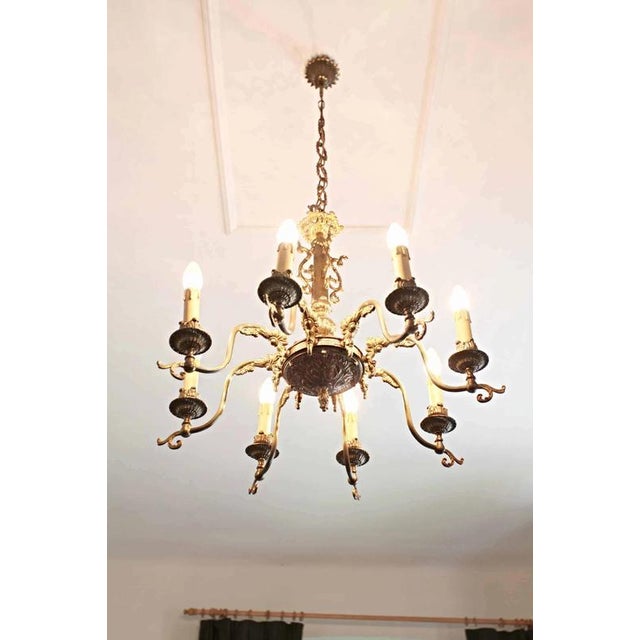 2000 - 2009 Brass 8-Arm Chandelier with Floral Decoration For Sale - Image 5 of 6