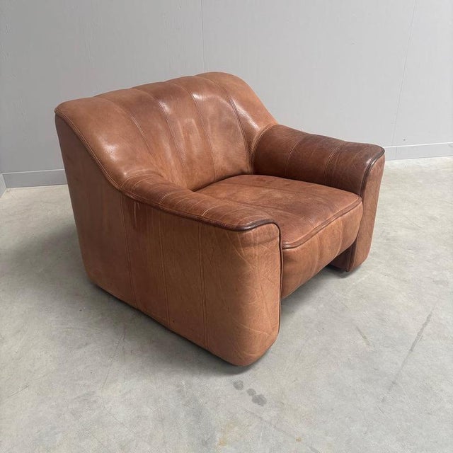 DS44 Lounge Chair from de Sede, 1970s For Sale - Image 6 of 12