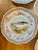 Antique O & E Gutherz Royal Austria Hand Painted Fish Dinnerware Circa 1899-1918 - A Set of 10 Pieces For Sale - Image 10 of 18