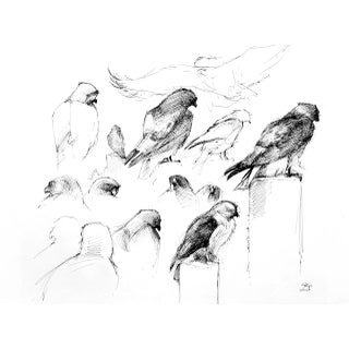 David Orrin Smith Original Plein Air Seattle Avian Drawing “Hawk Studies” For Sale