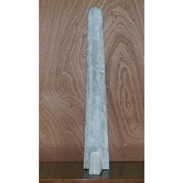 Large Atlas Mountains Fossils, Set of 2 For Sale - Image 17 of 18