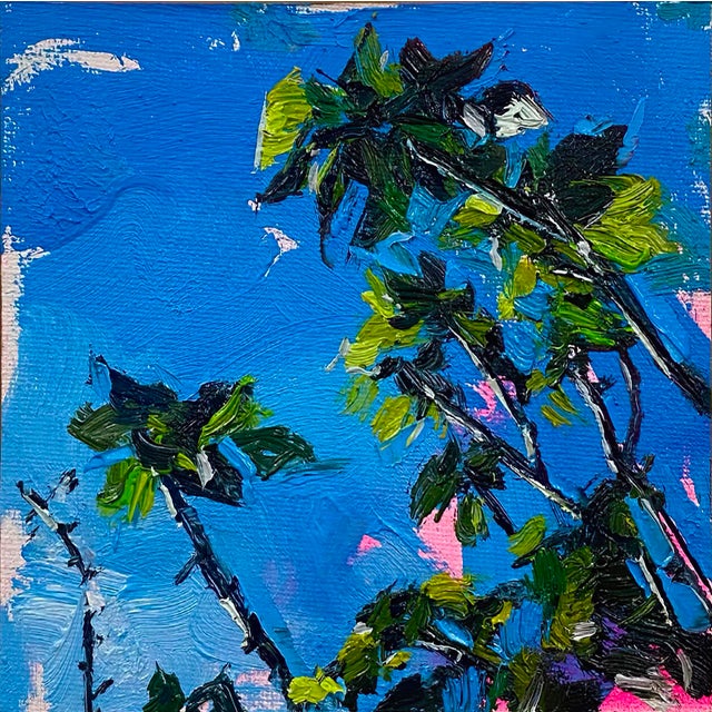 Alanís by Conrado López | Acrylic and oil on canvas depicting green leaves against a blue sky For Sale