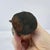 Wood Early 20th Century Asante Akua'ba Fertility Doll Ghana For Sale - Image 7 of 7