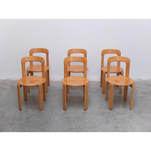 Late 20th Century Rey Chairs by Bruno Rey for Dietiker, Switzerland, 1971, Set of 6 For Sale - Image 5 of 17