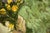 Early 21st Century Wild Flowers by Nadezda | Oil on Panel Portrait of a girl holding a bouquet of wildflowers. For Sale - Image 5 of 5