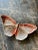 Bordallo Pinheiro Bordallo Pinheiro Cloudy Butterflies by Claudia Schiffer Butterfly Wall Piece, Red, 19" For Sale - Image 4 of 4
