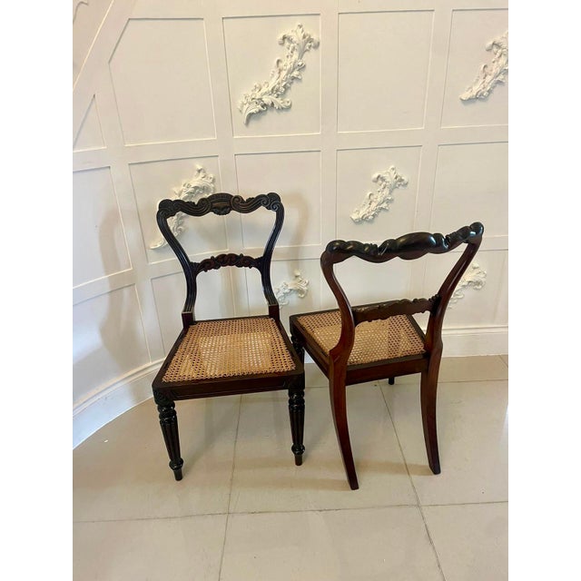 Antique Regency Carved Rosewood Dining Chairs, 1860, Set of 8 For Sale - Image 6 of 18