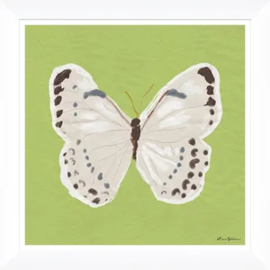 White Monarch in Green By Dana Gibson, Framed Art Print