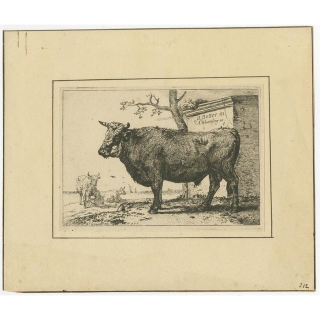 After Paulus Potter, Cattle, 1650, Set of 8 For Sale - Image 5 of 12
