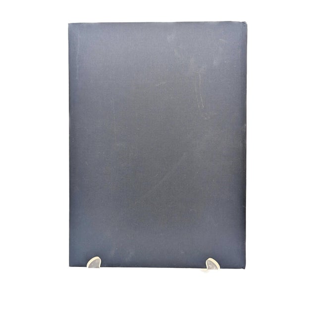 Contemporary 2010 Santiago Parra Exhibition Catalogue For Sale - Image 3 of 12