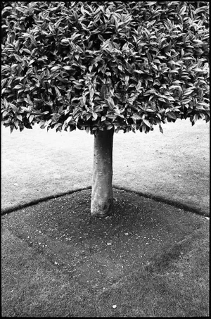 Paul Cooklin, Wimpole Estate, Silver Gelatin Photograph