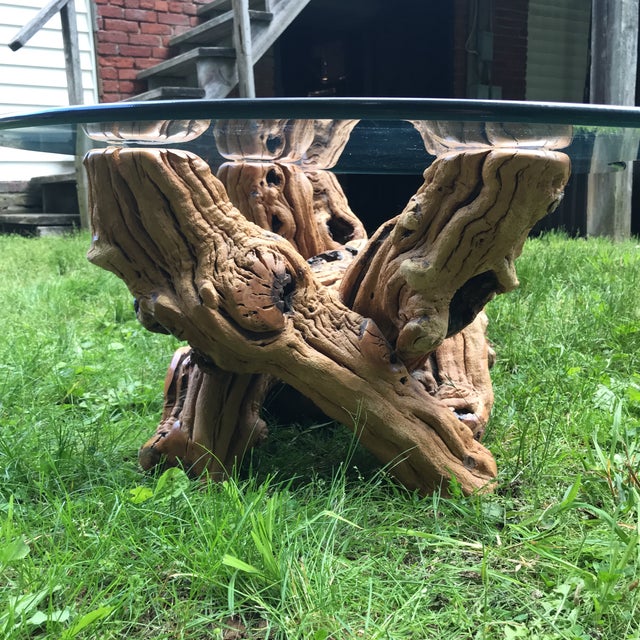 100 Year Old Grape Vine Base Coffee Table With Biomorphic Cut Glass Top