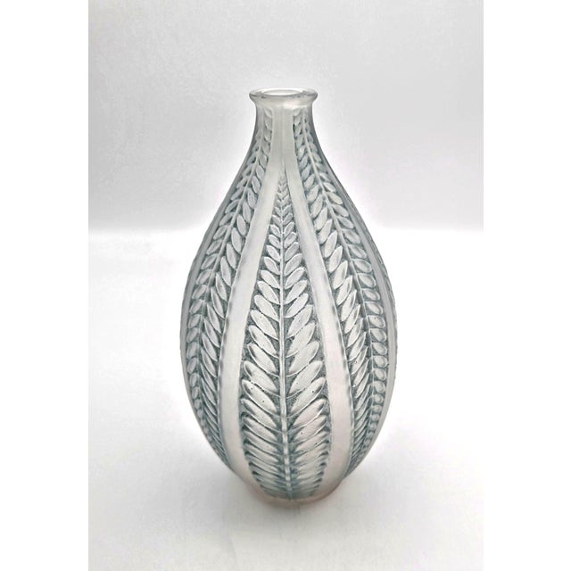 1920s Art Deco Acacia Vase in Clear and Frosted Glass by René Lalique, France, 1920s For Sale - Image 5 of 5