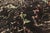 Vintage Beni MGuild Moroccan Rug, 05'11 X 09'05 For Sale In Dallas - Image 6 of 10
