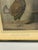 Antique Pair of English Game Bird Sporting Hand Colored Engravings in Ebonized Frames For Sale - Image 14 of 18