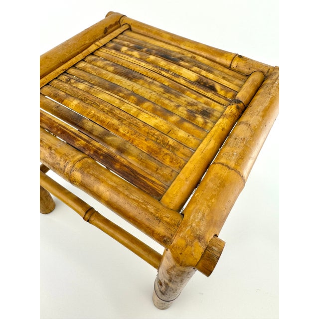 1960s Mid Century Burnt Tortoise Bamboo Plant Stand For Sale - Image 5 of 10