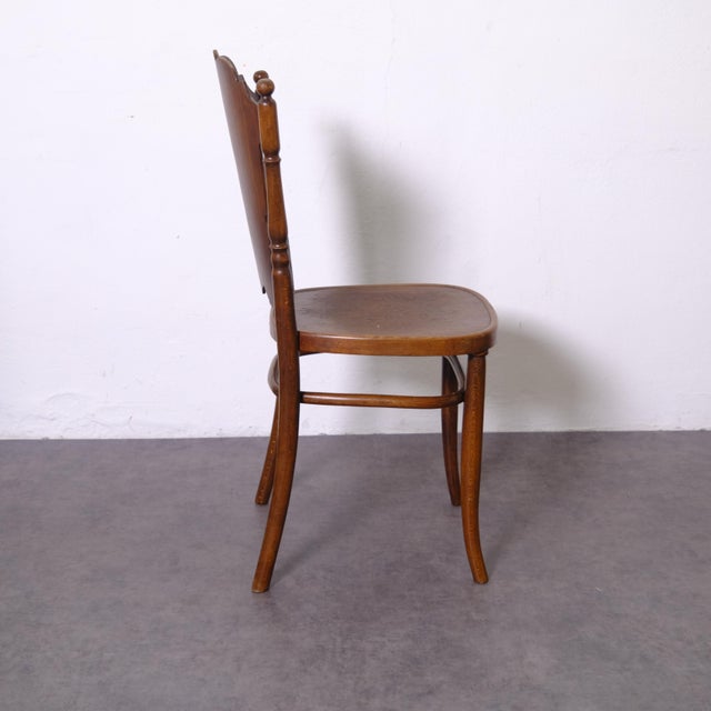 Antique Chair in Bent Beech Wood from Jacob & Josef Kohn, 1890s For Sale - Image 12 of 18