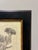 Vintage Mesembryanthemum Falc Atum Botanical Illustration Print in Black & Gold Frame For Sale - Image 4 of 5