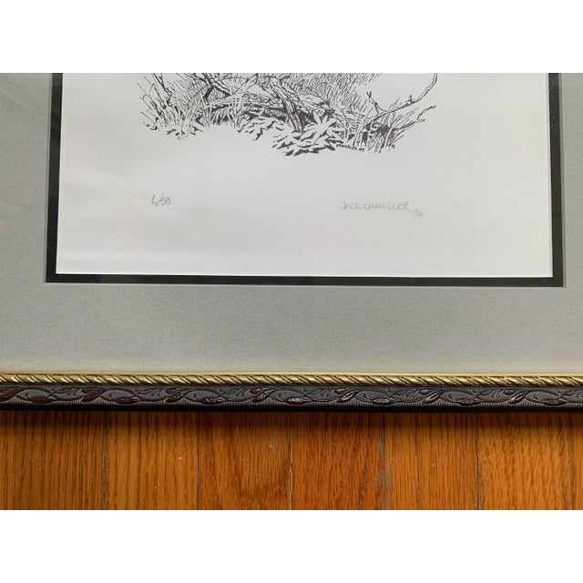 Traditional Vintage Framed Bird Drawings by Jack Chandler, Set of 2 For Sale - Image 3 of 10