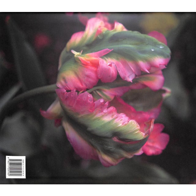 White "The Gardens at Hatfield" 2005 Snell, Sue For Sale - Image 8 of 10