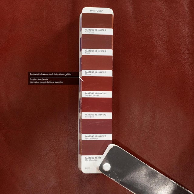 Amadeo 2-Seater Sofa in Red Brown Leather from Machalke For Sale - Image 5 of 10